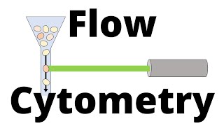 FLOW CYTOMETRY in 1 minute [upl. by Melburn]