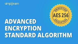 AES  Advanced Encryption Standard Algorithm In Cryptography  AES Explained  Simplilearn [upl. by Kcirderfla758]