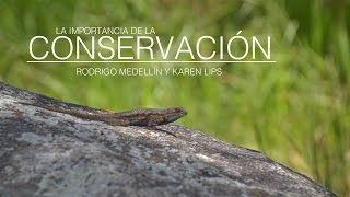 Conservación de la biodiversidad [upl. by Terrye403]