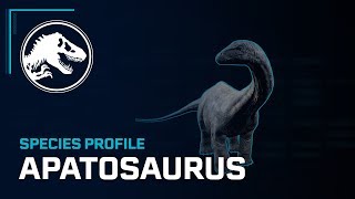 Species Profile  Apatosaurus [upl. by Loriner865]