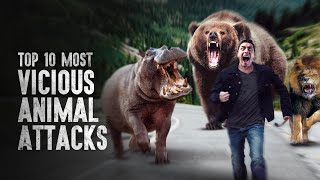 Top 10 Most Vicious Animal Attacks and How to Survive Them [upl. by Nnayllehs]