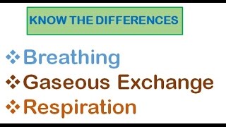 Portable Home or Hospital Liquid Oxygen Systems for Patient Use Part 1 [upl. by Ardnik]