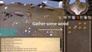 Fastest way to hunt sabretoothkebbits 1MG Runescape 2007 OSRS [upl. by Aimar16]