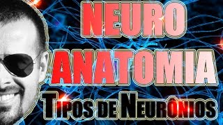 Tipos de neurônios Multipolar Bipolar e PseudoUnipolar  Sistema Nervoso  Vídeo Aula 090 [upl. by Deirdra587]