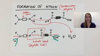 Simple Condensation polymerisation polymer explained using nylon GCSE [upl. by Ennairej430]