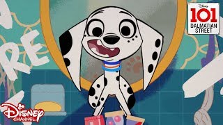 IN THE HOUSE 🎶 101 Dalmatian Street  Disney Channel Africa [upl. by Maggio340]