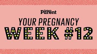 Your pregnancy 12 weeks [upl. by Lekcar]