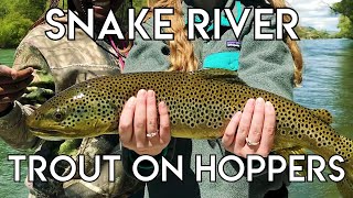 Epic Snake River Hopper Fishing [upl. by Arreik]