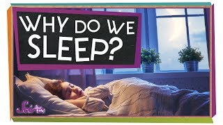 Why Do We Need Sleep [upl. by Htepsle]