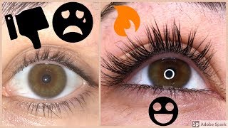 HOW I GREW MY LASHES 3X LONGER IN 8 WEEKS [upl. by Nylirehs568]