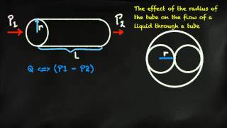 HagenPoiseuille Law [upl. by Aubree]