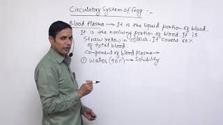 Class 11 Zoology digestive of frog part 2 [upl. by Eiliab]