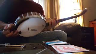 Nashville tuning 6 string Martin Smith banjo Highstrung conversion [upl. by Imugem34]