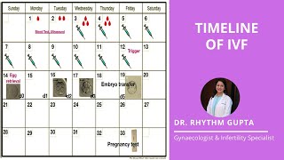 Timeline of IVF Explained Correctly  Dr Rhythm Gupta  Fertility Specialist [upl. by Eelyahs]