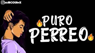 PURO PERREO 9🔥 BRASILERO 2019 MARCOS RMX [upl. by Krebs917]