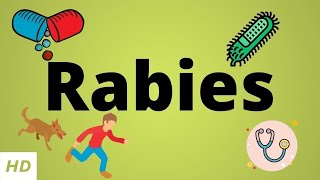 Rabies Causes SIgn and Symptoms Diagnosis and Treatment [upl. by Nylrats]