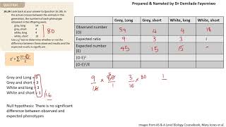 Chapter 164 How to do the Chisquared test [upl. by Innattirb757]