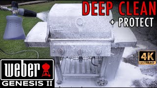 WEBER GENESIS II HOW TO CLEAN GAS GRILL FILTHY ANNUAL CLEAN [upl. by Htaek623]