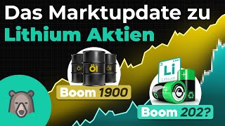 Warum ich weiter Lithium Aktien kaufe  Update Lithium Markt [upl. by Sedda]