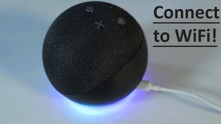 How to Connect Alexa to WiFi  4th generation [upl. by Molahs]