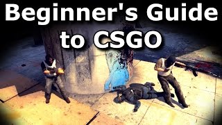 Basic CSGO Tutorial  Beginners Guide [upl. by Allicerp]