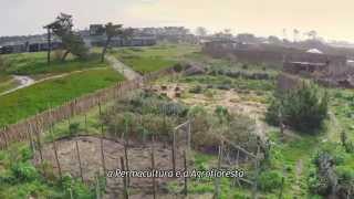 Areias do Seixo Permaculture [upl. by Akira670]