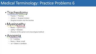 Medical Terminology  The Basics and Anatomy  Practice Problems Set 1 [upl. by Aidualc]