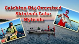 Skiatook Lake Hybrid Bass Fishing [upl. by Lsiel]