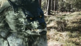 MOST CHILLING PREDATOR FOOTAGE [upl. by Blase]