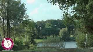 Falkensteinsee Camping amp Ferienpark Imagefilm HD [upl. by Atalanti]