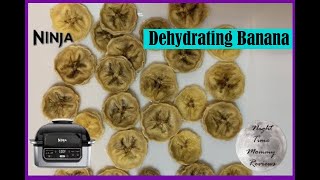 Ninja Foodi Grill  Dehydrator Recipe  Bananas [upl. by Ettenawtna878]