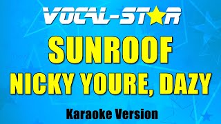 Nicky Youre Dazy  Sunroof Karaoke Version [upl. by Enirroc]