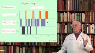 Lecture 9 Sleep Mechanisms [upl. by Peer251]