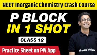 P BLOCK in 1 Shot  All Concepts Tricks amp PYQs  Class 12  NEET [upl. by Ardnaid324]