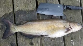 Catfish Catch Clean amp Cook  Bank Fishing Tips and How to Catch Catfish from Shore [upl. by Eniahpets]