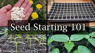 How To Start Vegetable Seeds  The Definitive Guide For Beginners [upl. by Niuqaoj]