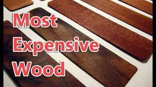 Top 10 Most Expensive Wood in the World [upl. by Roid]