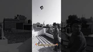 3 Tawa Gudda😍kiteflying amritsarkiteclub punjabkiteclub [upl. by Geithner]