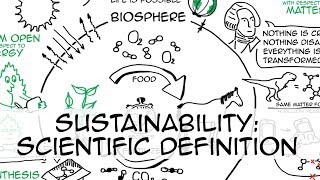 Sustainability simple definition whiteboard animation [upl. by Aba466]