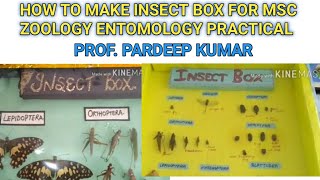 How to make insect box  Insectarium for MSc ZOOLOGY Entomology Practial [upl. by Fonville194]