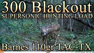 300 BLK Supersonic Hunting Load with 110gr Barnes TACTX [upl. by Joleen]