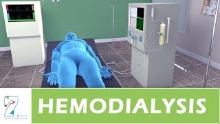 Hemodialysis [upl. by Amos]