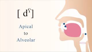 The 2 Affricate Sounds  tʃ amp dʒ  English Pronunciation [upl. by Rutter]