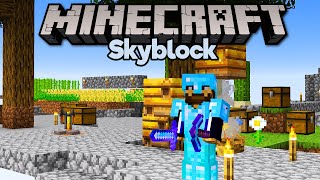 Full Diamond Armour amp Tools in Skyblock ▫ Minecraft 115 Skyblock Tutorial Lets Play Part 11 [upl. by Julianne]