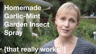 Homemade GarlicMint Garden Insect Spray that really works  AnOregonCottagecom [upl. by Bourne]