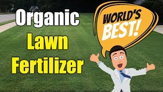 Best Organic Lawn Fertilizer [upl. by Yraht95]