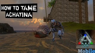 How To Tame Achatina ARK Mobile S1E01 [upl. by Marlene607]