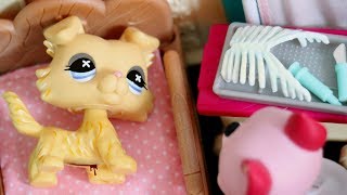 LPS Bones Short Film [upl. by Jenks898]