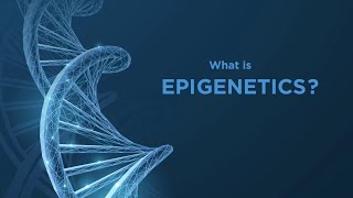 Epigenetics [upl. by Fidelis]