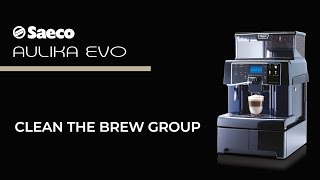 Aulika Evo Top  Brew Group Cleaning [upl. by Iline]